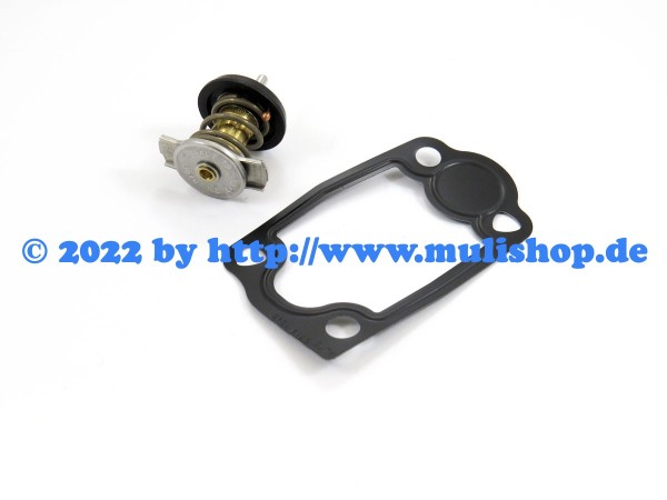 Thermostat mit Dichtung M30-E4/E5, M31-E5