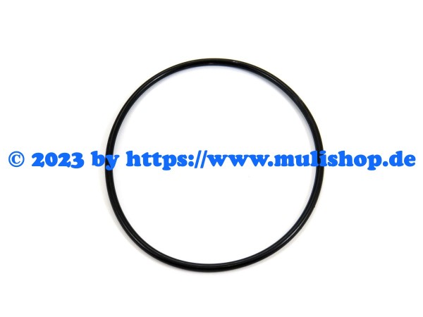 O-Ring für Wasserpumpe 98,84x3,53 für M30-E3