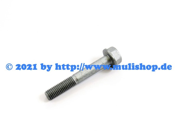 Sechskantschraube M8x55 für Riemenspanner M26.2, M26.5, M30-E3