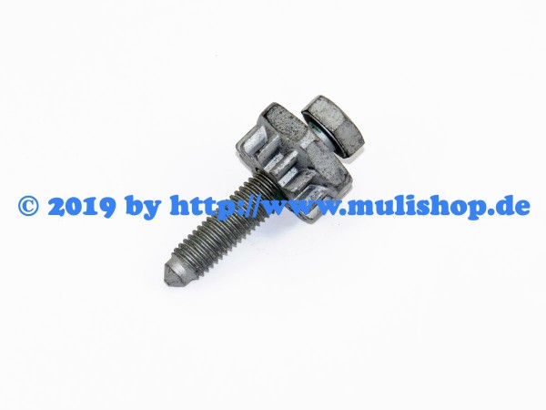 Spannschraube Lichtmaschine VW-Motor