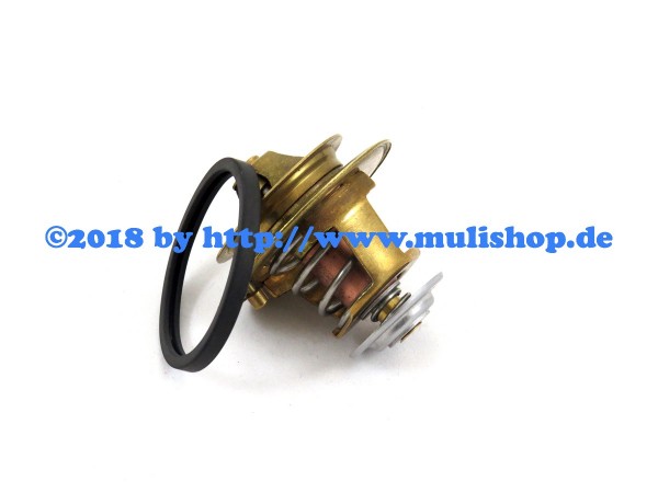 Thermostat für M26.2 IVECO