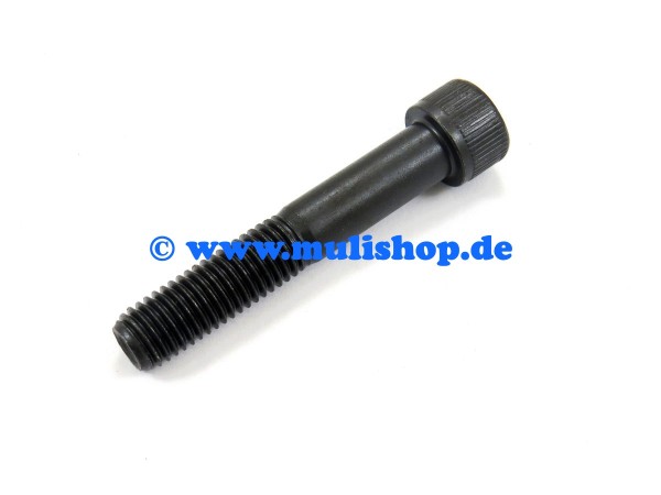 Zylinderschraube M12x70