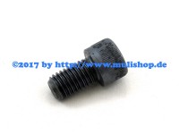 Zylinderschraube M12 x 20 für Bremsscheibe VA/HA M27 M30 M31 Zylinderschraube M12 x 20 für Bremsscheibe VA/HA M27 M30 M31